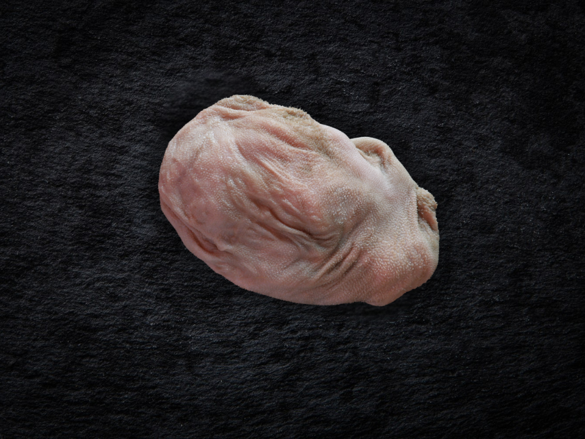 VSS lamspens gewassen (1000 g.)